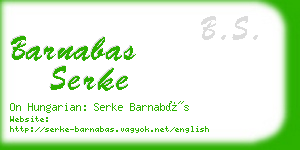 barnabas serke business card